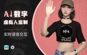 Ai数字人虚拟(智能体)实时语音交互特训营，​自行定制超写实角色AI数字人交互技术-新手副业项目