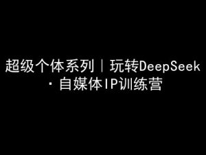 超级个体系列，玩转DeepSeek·自媒体IP训练营，deepseek教程-新手副业项目