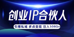 云帆·创业ip合伙人打造3.0，从0到1教你做网创，实现月入过W-新手副业项目