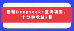 最新Deepseek+蓝海项目,十分钟收益2张-新手副业项目