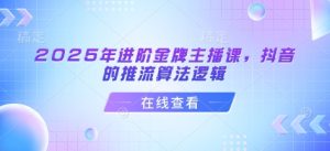 2025年进阶金牌主播课，抖音的推流算法逻辑-新手副业项目