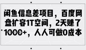 闲鱼信息差项目，百度网盘扩容1T空间，2天收益1k+，人人可做0成本-新手副业项目