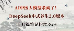 AI中医大模型杀疯了！DeepSeek中式养生2.0版本，十几篇笔记粉丝3w+-新手副业项目