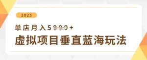 虚拟项目垂直玩法，实现单店月入5k+-新手副业项目