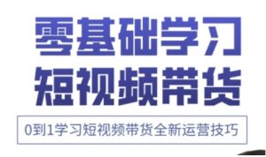 快手运营+高阶剪辑实战课,0到1学习短视频带货全新运营技巧-新手副业项目
