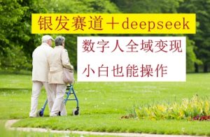 银发赛道+deepseek数字人全域变现，小白也能操作-新手副业项目