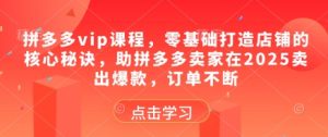 拼多多vip课程，零基础打造店铺的核心秘诀，助拼多多卖家在2025卖出爆款，订单不断-新手副业项目