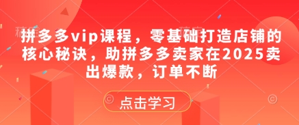 拼多多vip课程，零基础打造店铺的核心秘诀，助拼多多卖家在2025卖出爆款，订单不断-新手副业项目
