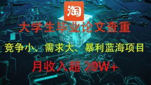 大学生毕业论文查重，暴利蓝海项目，月收入过1W+-新手副业项目