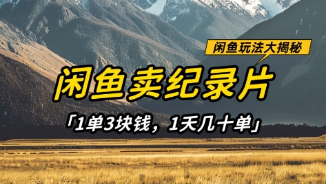 闲鱼卖纪录片1单3块钱，1天几十单，项目稳定有潜力-新手副业项目