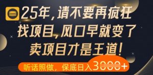 什么？25年你还在疯狂找项目做，醒醒吧，看完这些你全都懂了【揭秘】-新手副业项目
