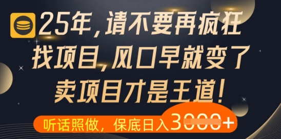 什么？25年你还在疯狂找项目做，醒醒吧，看完这些你全都懂了【揭秘】-新手副业项目
