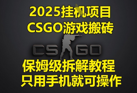 2025挂G项目，CSGO游戏搬砖，保姆级拆解教程，只用手机就可操作【揭秘】-新手副业项目