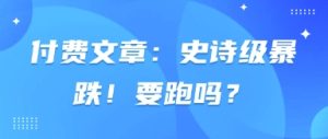 付费文章：史诗级暴跌！要跑吗？-新手副业项目