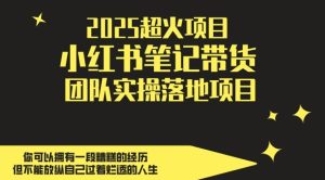 2025超火项目，副业最佳选择，小红书笔记带货团队实操落地项目，，轻松日入5张-新手副业项目