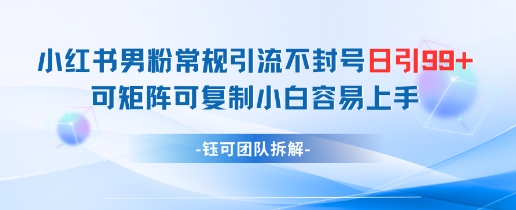 小红书男粉常规引流不封号日引99+变现简单 可矩阵可复制小白容易上手-新手副业项目