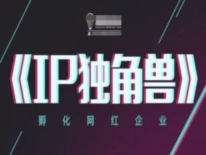 IP独角兽,孵化网红企业,ip教程-新手副业项目