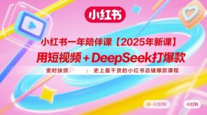 小红书一年陪伴课【2025年新课】，用短视频+deepSeek打爆款，史上最干货的小红书店铺爆款课程-新手副业项目
