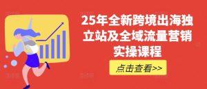 25年全新跨境出海独立站及全域流量营销实操课程，跨境电商独立站TIKTOK全域营销普货特货玩法大全-新手副业项目