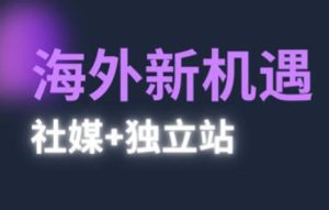 2025出海新机遇(社媒+独立站)，海外新机遇，实现独立站的高效运营与出海-新手副业项目