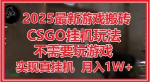 2025最新游戏搬砖，CSGO挂G，不需要玩游戏，实现真挂G，月入1W+【揭秘】-新手副业项目