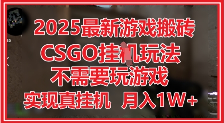 2025最新游戏搬砖，CSGO挂G，不需要玩游戏，实现真挂G，月入1W+【揭秘】-新手副业项目