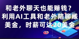 和老外聊天也能挣钱?利用AI工具和老外陪聊挣美金,时薪可达20刀-新手副业项目