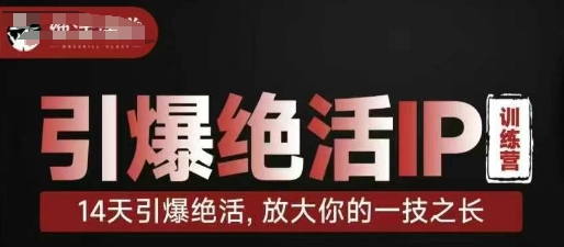 引爆绝活IP训练营，14天引爆绝活，放大你的一技之长-新手副业项目