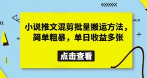 小说推文混剪批量搬运方法，简单粗暴，单日收益多张-新手副业项目