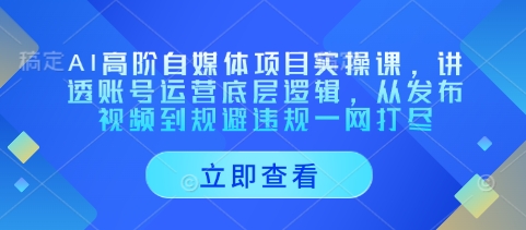 AI高阶自媒体项目实操课，讲透账号运营底层逻辑，从发布视频到规避违规一网打尽-新手副业项目