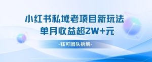 小红书私域项目新玩法,单月变现过W+-新手副业项目
