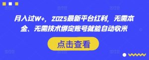 月入过W+，2025最新平台红利，无需本金、无需技术绑定账号就能自动收米-新手副业项目