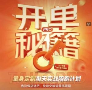 淘宝开单秘籍PRO，量身定制淘天实战陪跑计划，告别做店迷茫、快速突破运营瓶颈期（更新）-新手副业项目