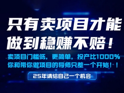只有卖项目才能做到稳挣不赔，门槛低，更简单，你也可以年入百个W【揭秘】-新手副业项目