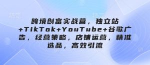 跨境创富实战营，独立站+TikTok+YouTube+谷歌广告，经营策略，店铺运营，精准选品，高效引流-新手副业项目