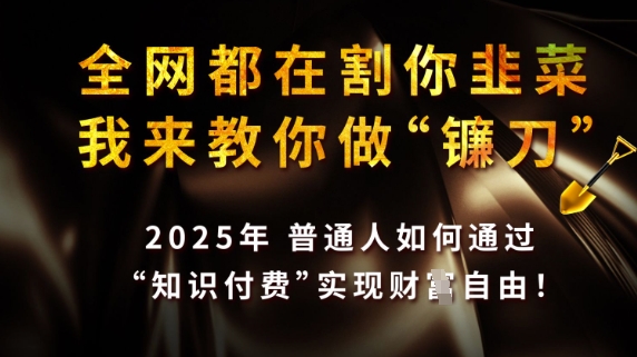 全网都在割你韭菜，我来教你做镰刀，2025普通人如何通过知识付费，实现财F自由【揭秘】-新手副业项目