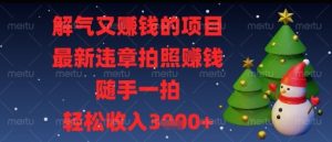 解气又挣钱的项目，最新违章拍照挣钱，随手一拍，轻松收入多张【揭秘】-新手副业项目