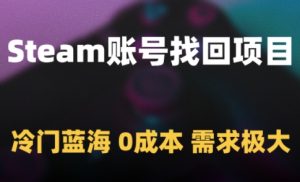 Steam账号找回项目，冷门蓝海，0成本，需求极大-新手副业项目