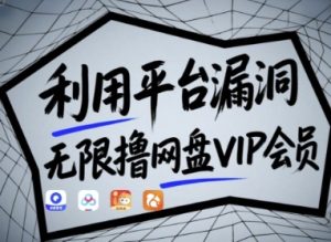 利用平台漏洞，无限撸网盘VIP会员，用户亲测有效!【漏洞原理+操作演示】-新手副业项目