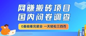 网创搬砖项目，国内问卷调查，小白轻松上手，一天三四张的也不难，干就完了【揭秘】-新手副业项目
