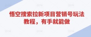 悟空搜索拉新项目营销号玩法教程，有手就能做-新手副业项目