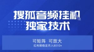 【搜狐音频挂G】独家技术，可矩阵可放大，红利期稳定月入8k【揭秘】-新手副业项目