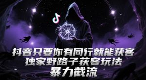 抖音只要你有同行就能获客，独家野路子获客玩法，暴力截流【揭秘】-新手副业项目