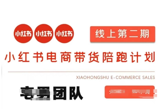 小红书电商带货课2期，月利润20个的小红书电商的有货源，无货源，虚拟产品，付费投流等整套玩法-新手副业项目