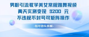 男粉引流教学美女常规跳舞视频两天实测变现1k+，不违规不封号可矩阵操作-新手副业项目