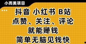 小而美的项目，抖音小红书B站视频点赞、关注、评论就能挣钱，简单无脑立见收益，妥妥的零撸项目【揭秘】-新手副业项目