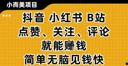 小而美的项目，抖音小红书B站视频点赞、关注、评论就能挣钱，简单无脑立见收益，妥妥的零撸项目【揭秘】-新手副业项目