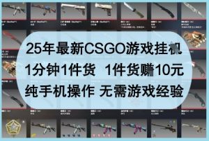 25年最新CSGO游戏挂G，1分钟1件货，1件货挣10元，纯手机操作，无需游戏经验【揭秘】-新手副业项目