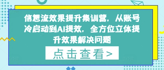 信息流效果提升集训营，从账号冷启动到AI提效，全方位立体提升效果解决问题-新手副业项目