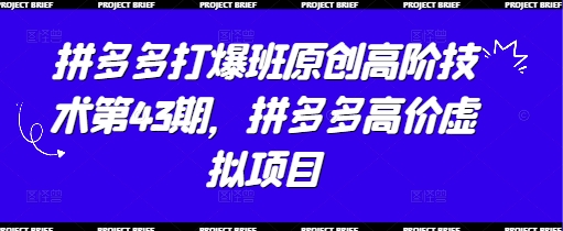 拼多多打爆班原创高阶技术第43期，拼多多高价虚拟项目-新手副业项目